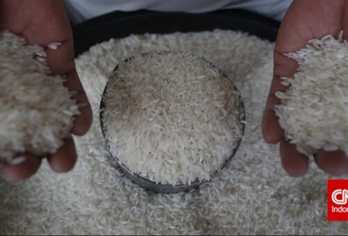 Bapanas Bongkar Biang Kerok Harga Beras Mahal