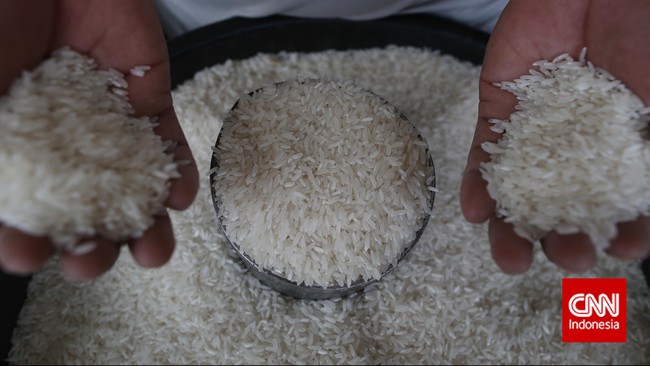 Bapanas Bongkar Biang Kerok Harga Beras Mahal
