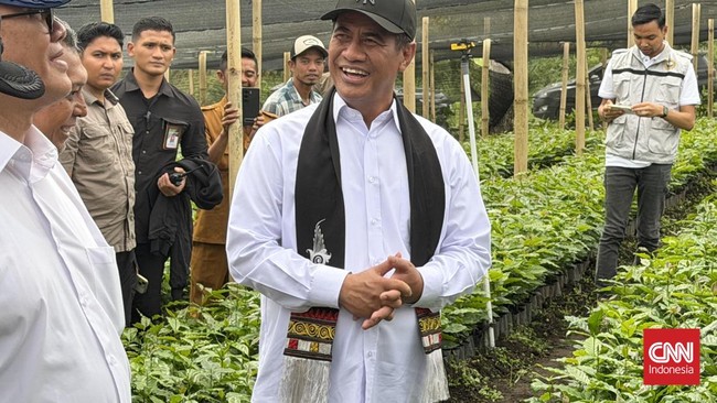 Amran Guyur 17 Juta Bibit Kopi ke Aceh hingga Targetkan Ekspor Rp200 T