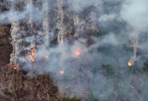 Karhutla Landa Kawasan Gunung Gombak Ponorogo, 15 Hektare Lahan Hangus