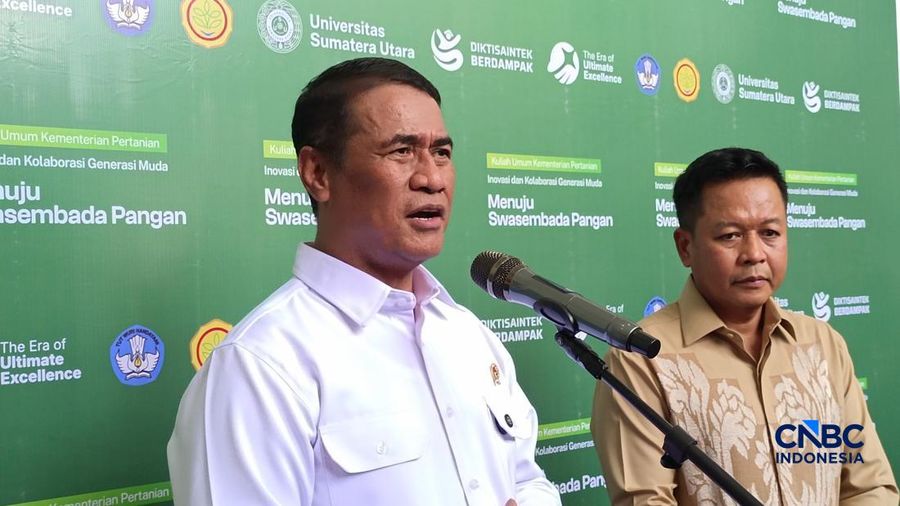 Harga Beras Dunia Diam-Diam Naik, Kenapa Mentan Amran Ucap Syukur?