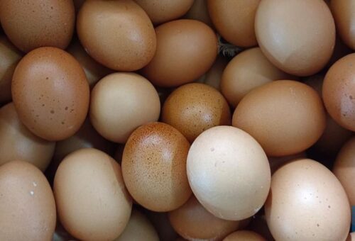 Heboh Menu Telur Dihapus di MBG India, Dipaksa Ganti Ini