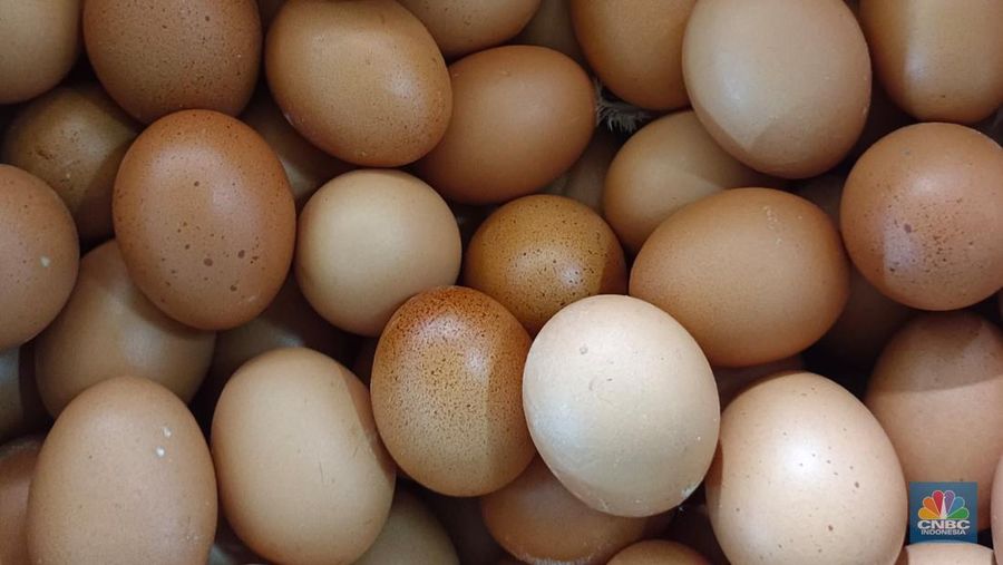 Heboh Menu Telur Dihapus di MBG India, Dipaksa Ganti Ini