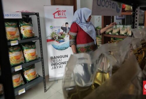 Negara Makin Banyak Turun Tangan Urusi Bisnis, Swasta Bakal Tersisih?