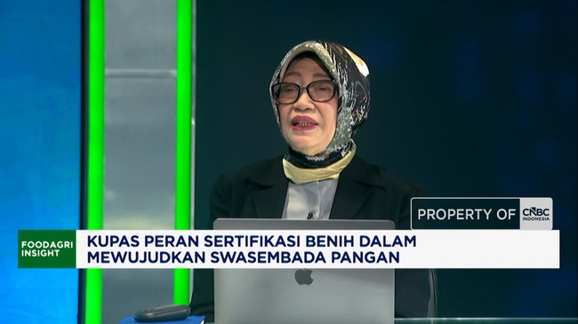 Petani Wajib Tau, Ini Alasan “Wajib” Pakai Benih Bersertifikat